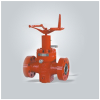 Wellhead Valve with Flat